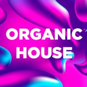 Слушать радио DFM Organic House