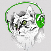 Слушать радио Радио Кот рекомендует