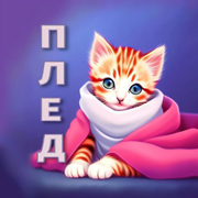 Слушать радио Радио Плед