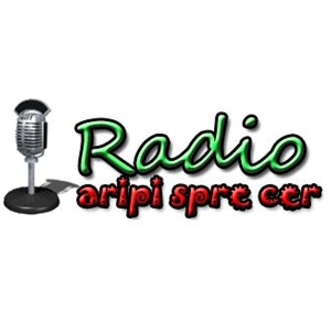 Слушать радио Radio Aripi Spre Cer - Instrumental